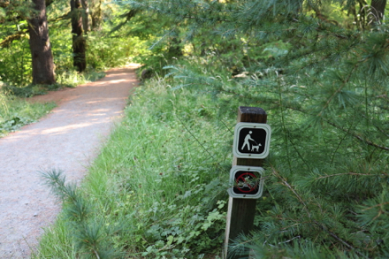 Dogs are allowed on trails – no bikes